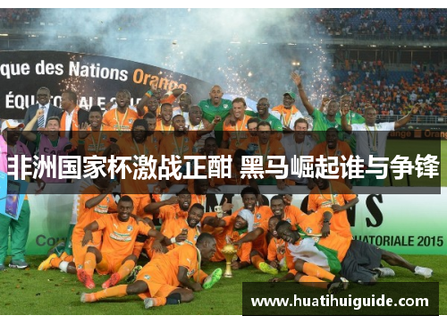 非洲国家杯激战正酣 黑马崛起谁与争锋